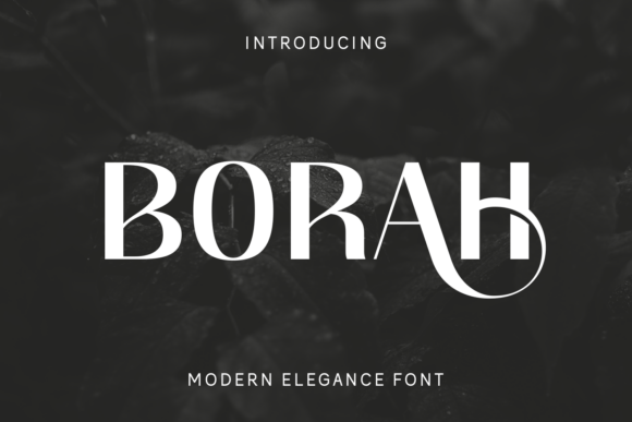 Borah: Integrating Modern Elegance and Geometric Precision in Visual Identity