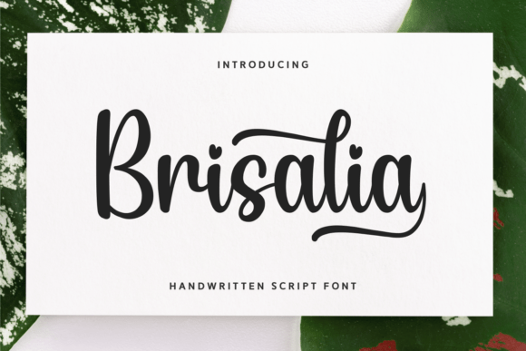 Brisalia: A Practical Guide to Using Bubbly Handwritten Fonts in Design