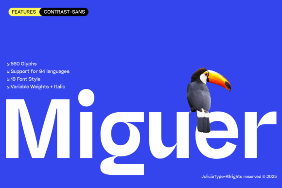 Evaluating Miguer Sans for Modern Design Projects