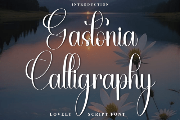 Gastonia Calligraphy: Warmth for Creative Design